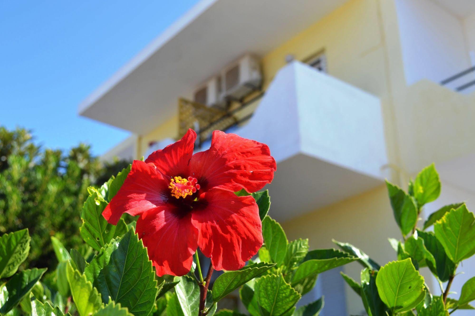 Yiannis Apartments Mastichari  Buitenkant foto